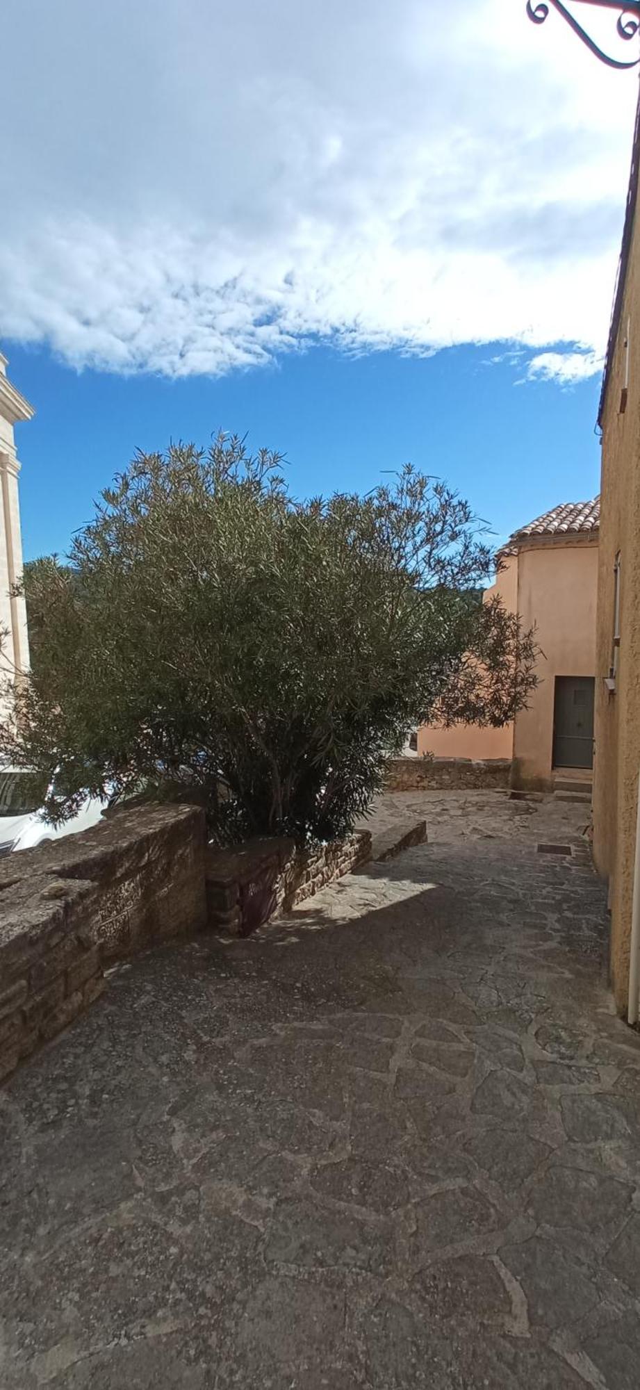 Studio Tout Confort En Provence Mont Ventoux. Bedoin Ngoại thất bức ảnh